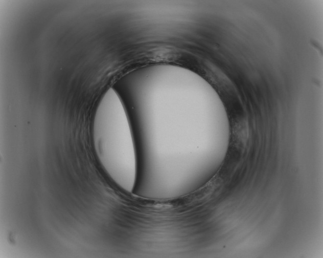 X0000097920554200803141033