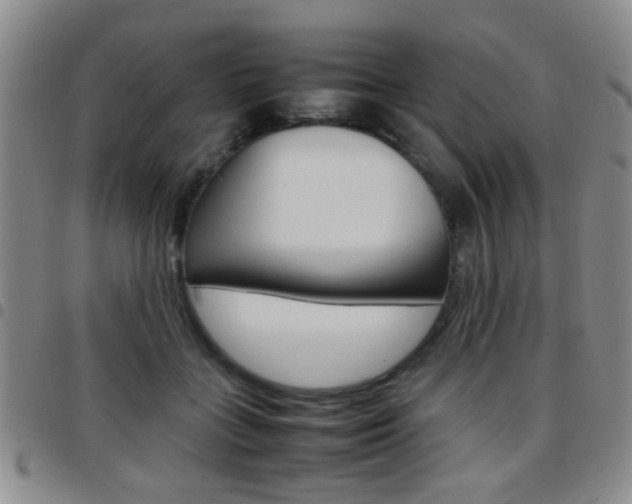 X0000097920555200803141033