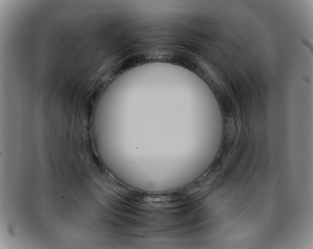 X0000097920557200803141033