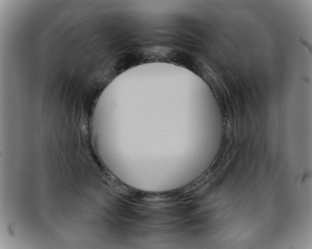 X0000097920561200803141033