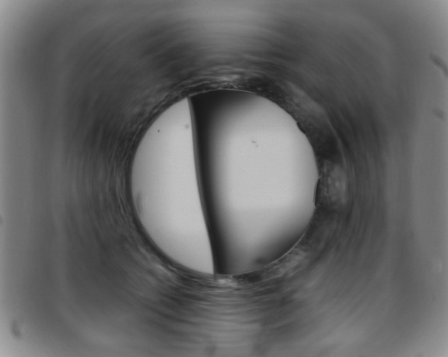 X0000097920562200803141033