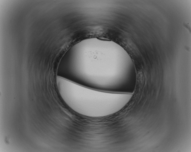 X0000097920564200803141033