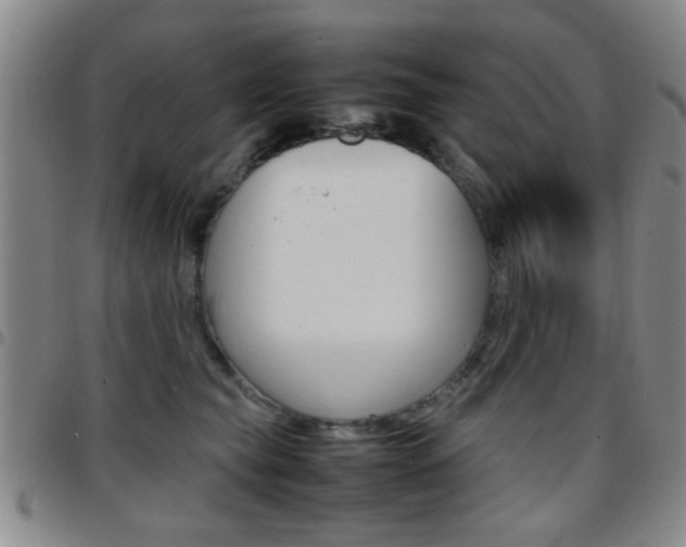 X0000097920565200803141033