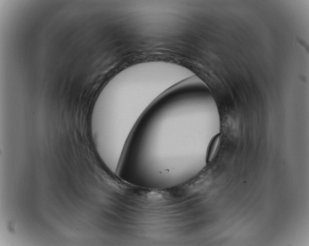 X0000097920566200803141033