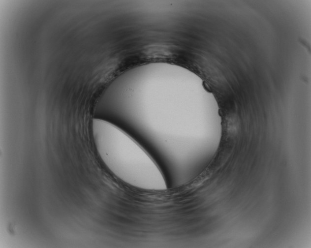 X0000097920567200803141033