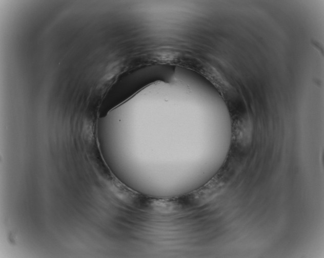 X0000097920568200803141033