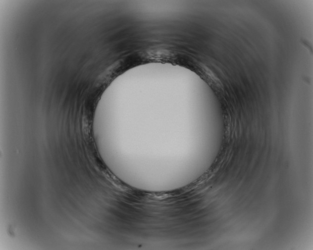 X0000097920569200803141033