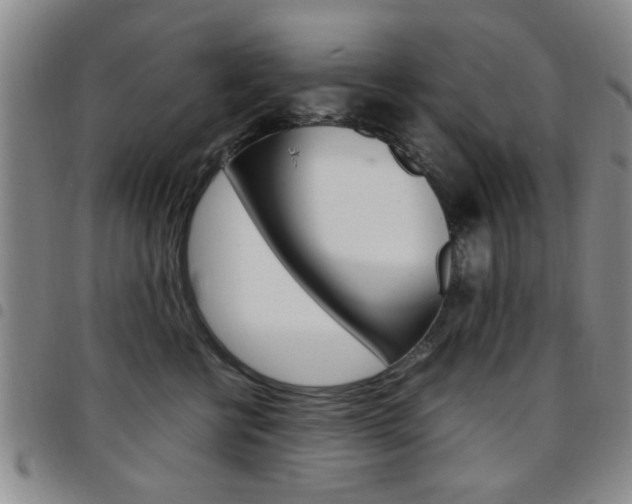 X0000097920570200803141033