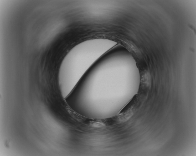 X0000097920572200803141033