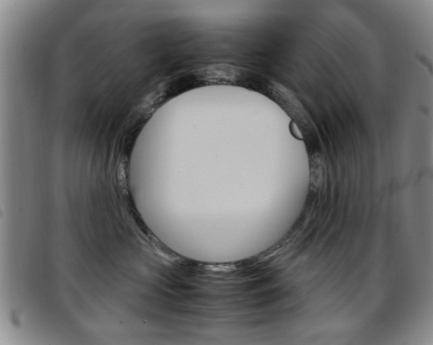 X0000097920573200803141033