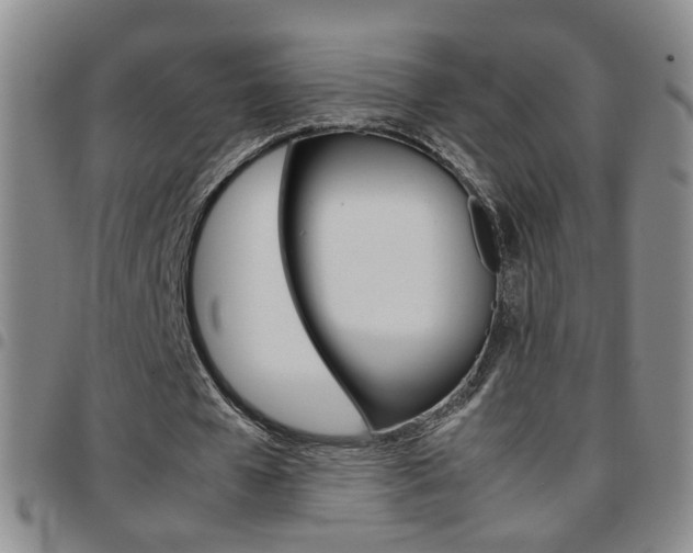 X0000097920577200803141033