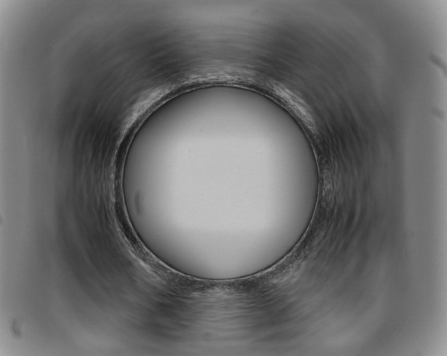 X0000097920578200803141033