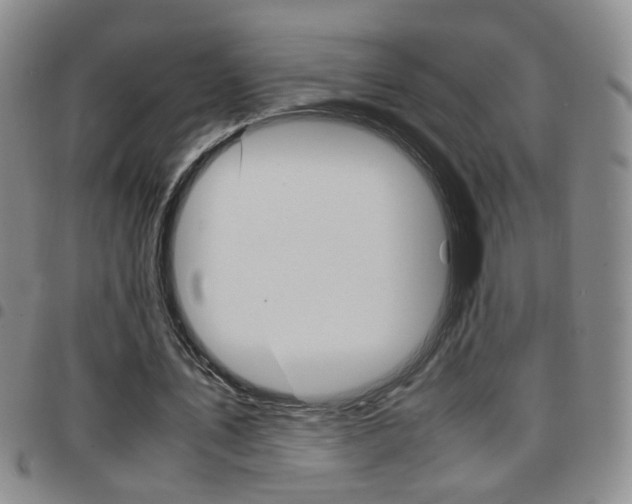 X0000097920579200803141033