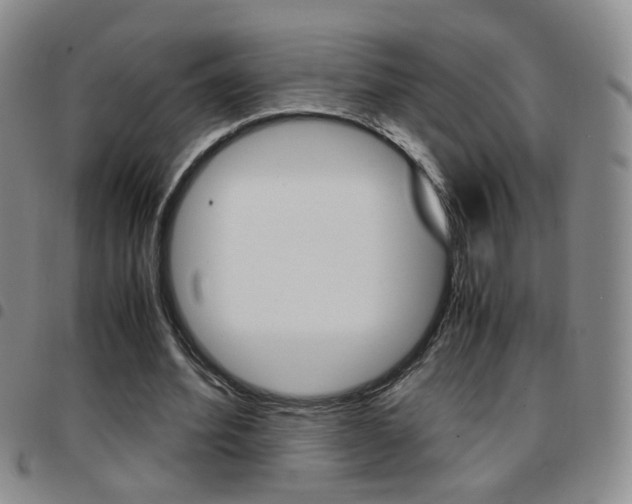 X0000097920580200803141033