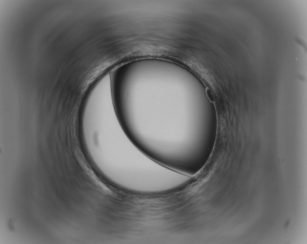 X0000097920581200803141033