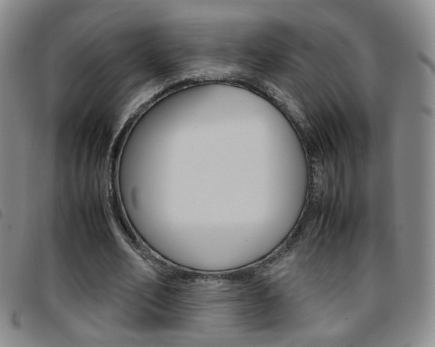 X0000097920582200803141033