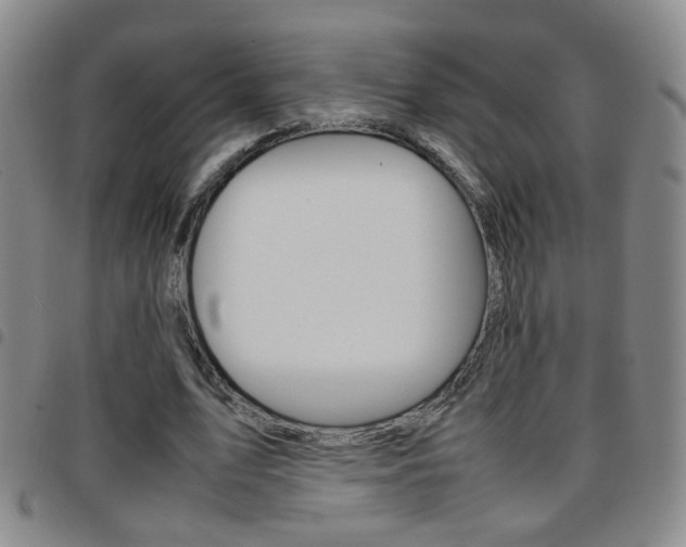 X0000097920583200803141033