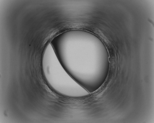 X0000097920585200803141033