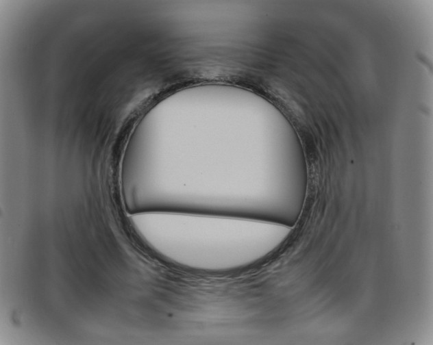 X0000097920587200803141033