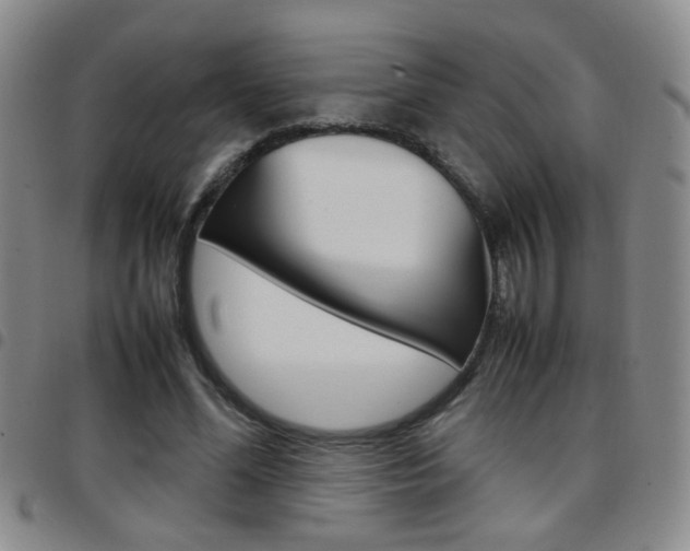 X0000097920588200803141033
