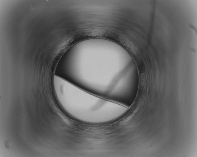 X0000097920589200803141033