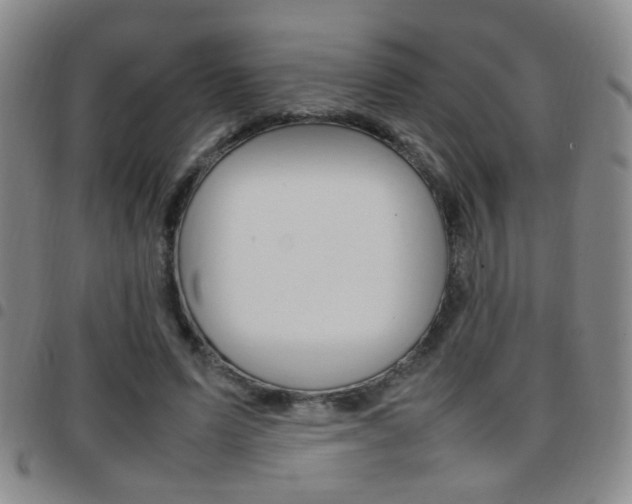 X0000097920591200803141033