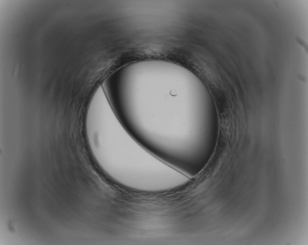X0000097920593200803141032