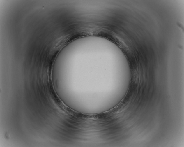 X0000097920594200803141032