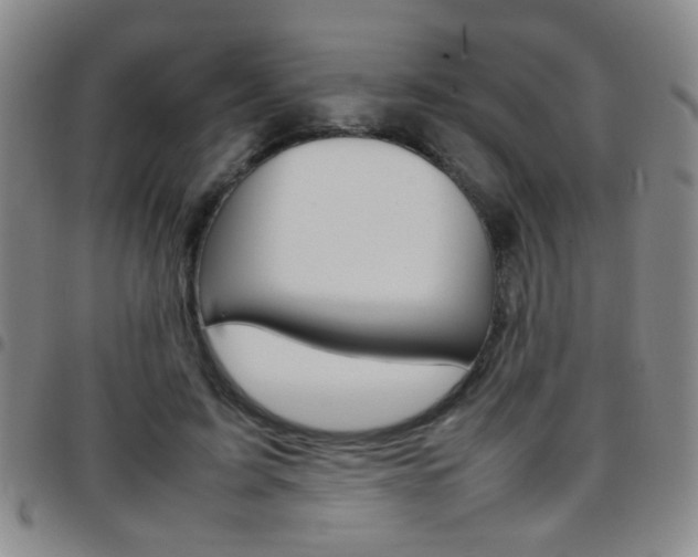 X0000097920595200803141032