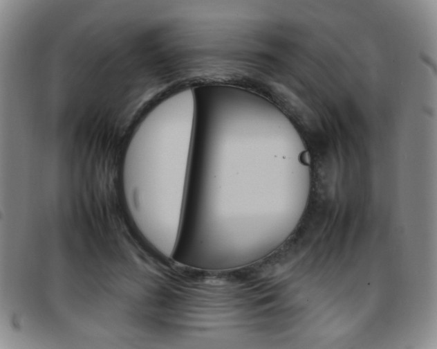 X0000097920596200803141032