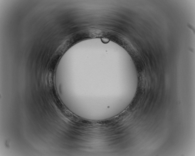 X0000097920598200803141032