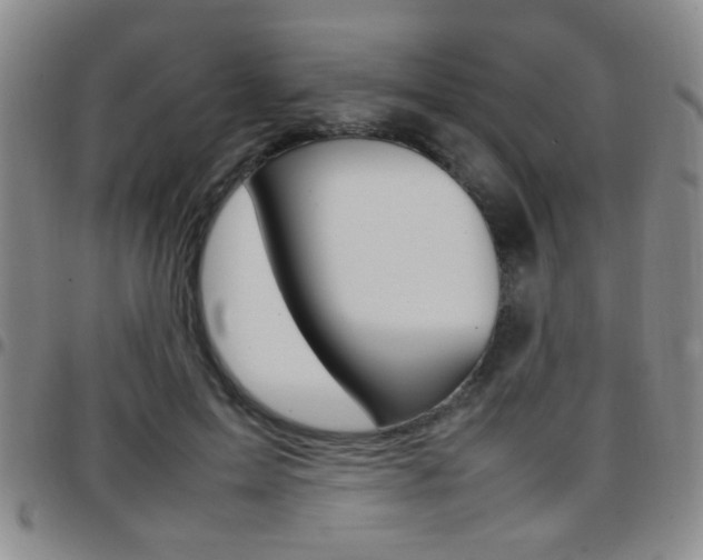 X0000097920599200803141032