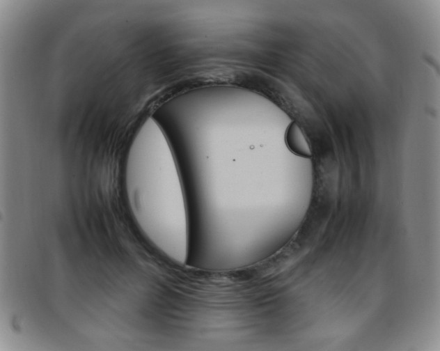 X0000097920600200803141032