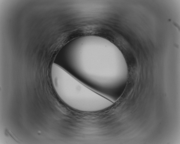 X0000097920601200803141032
