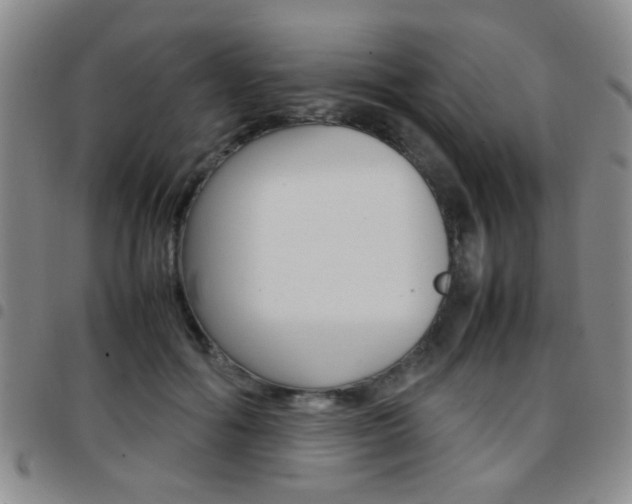 X0000097920602200803141032