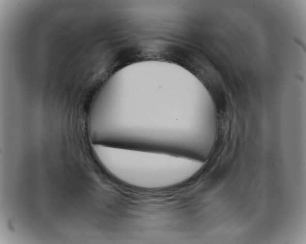 X0000097920603200803141032