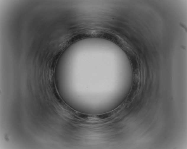 X0000097920605200803141032