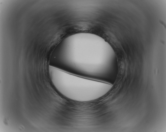 X0000097920612200803141032