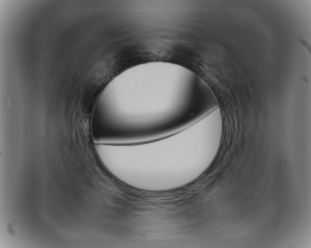 X0000097920613200803141032