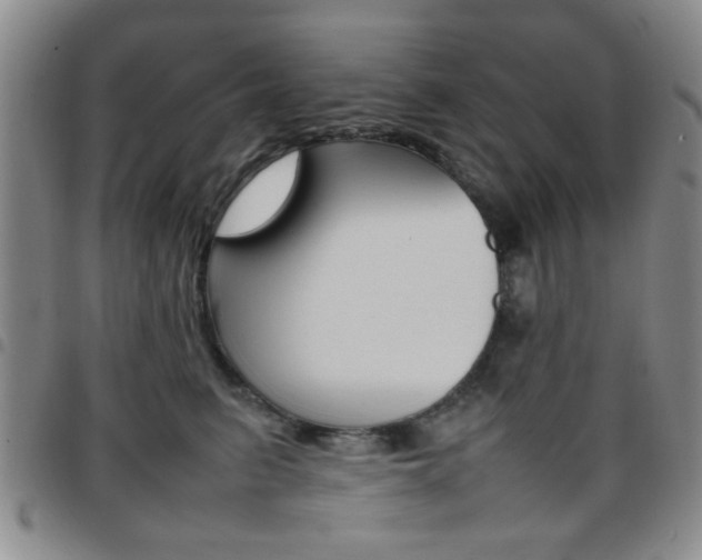 X0000097920615200803141032