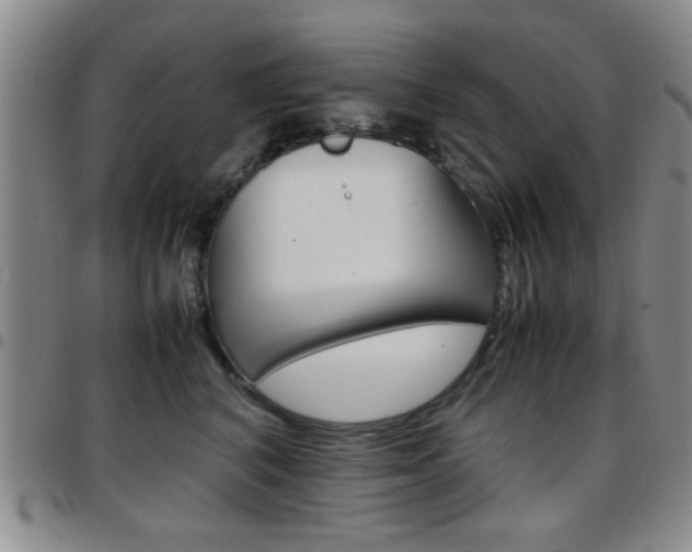 X0000097920616200803141032