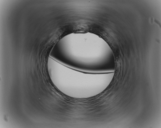 X0000097920617200803141032