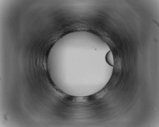 X0000097920622200803141032