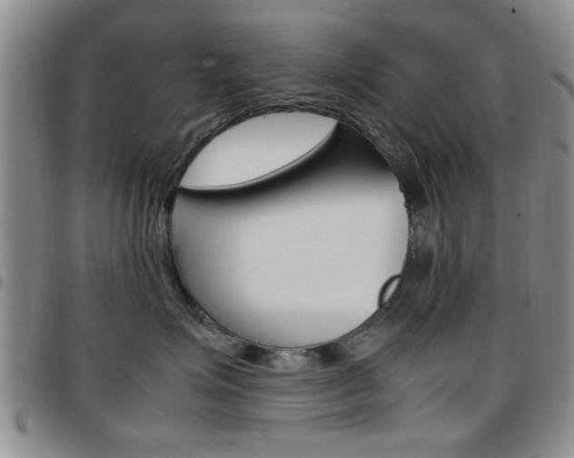 X0000097920623200803141032
