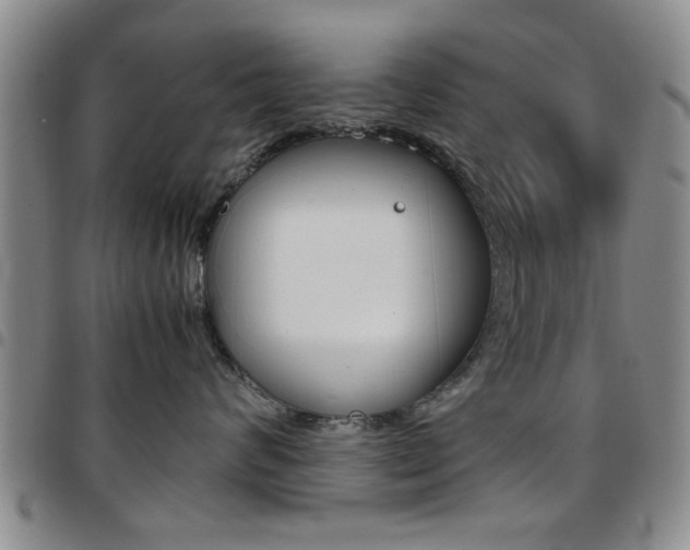 X0000097920624200803141032