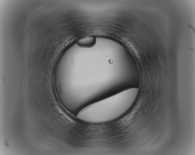 X0000097920625200803141031