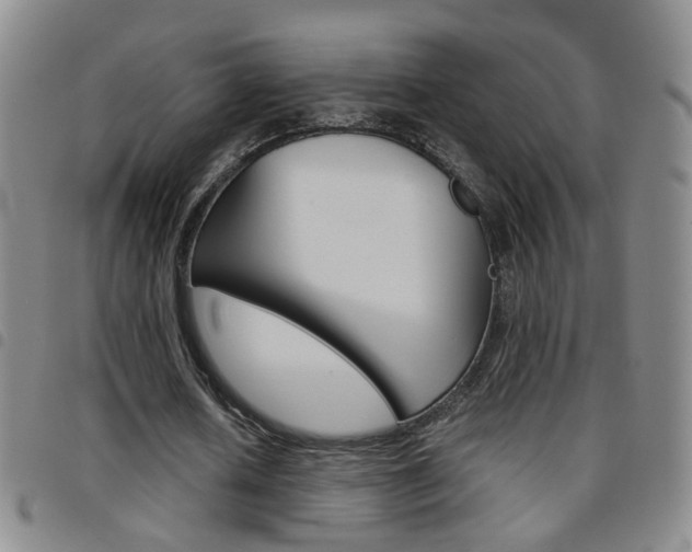X0000097920626200803141031