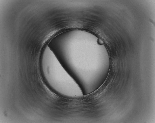 X0000097920629200803141031