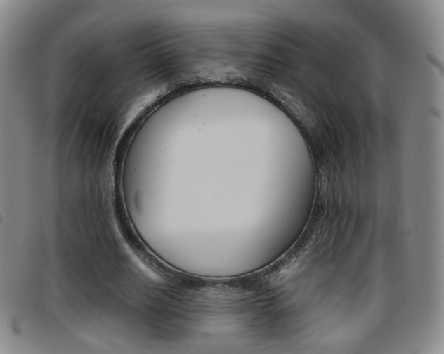 X0000097920630200803141031