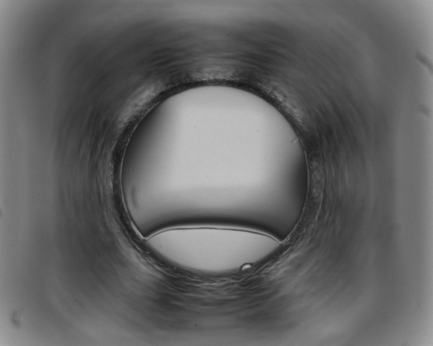 X0000097920631200803141031